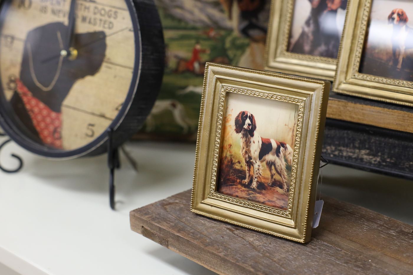 A close view of a gilded frame holding a spaniel portrait